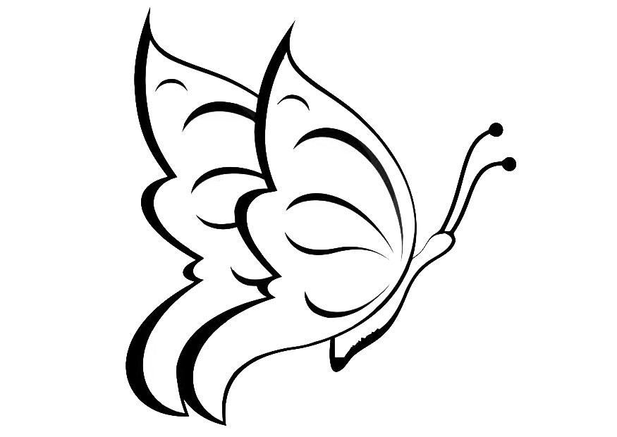 Dibujo para colorear mariposa