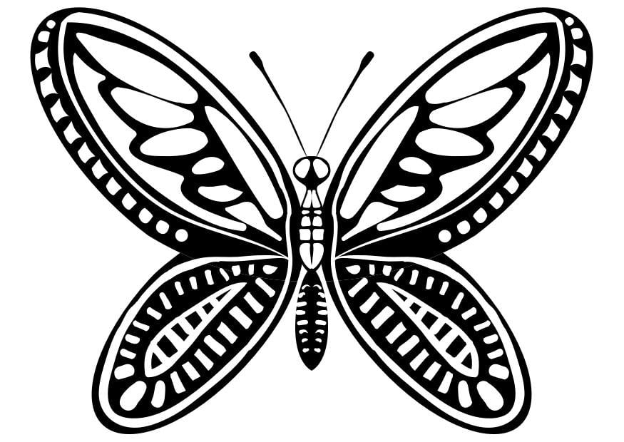 Dibujo para colorear mariposa