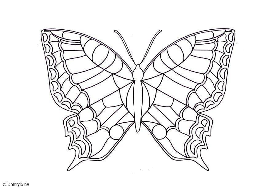 Dibujo para colorear mariposa