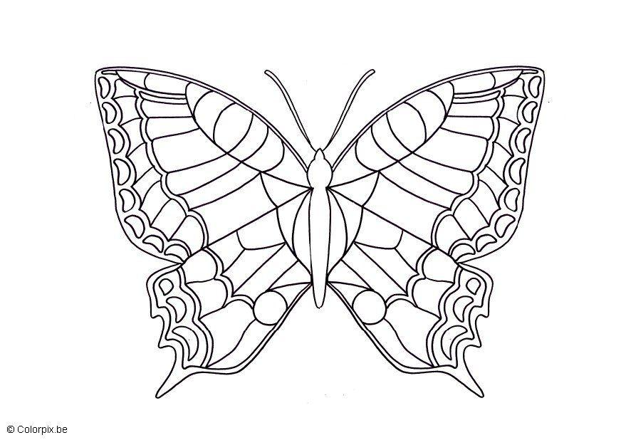 Dibujo para colorear mariposa