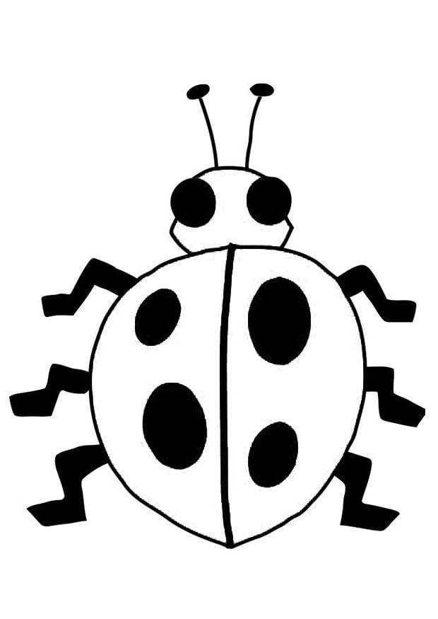 Dibujo para colorear mariquita