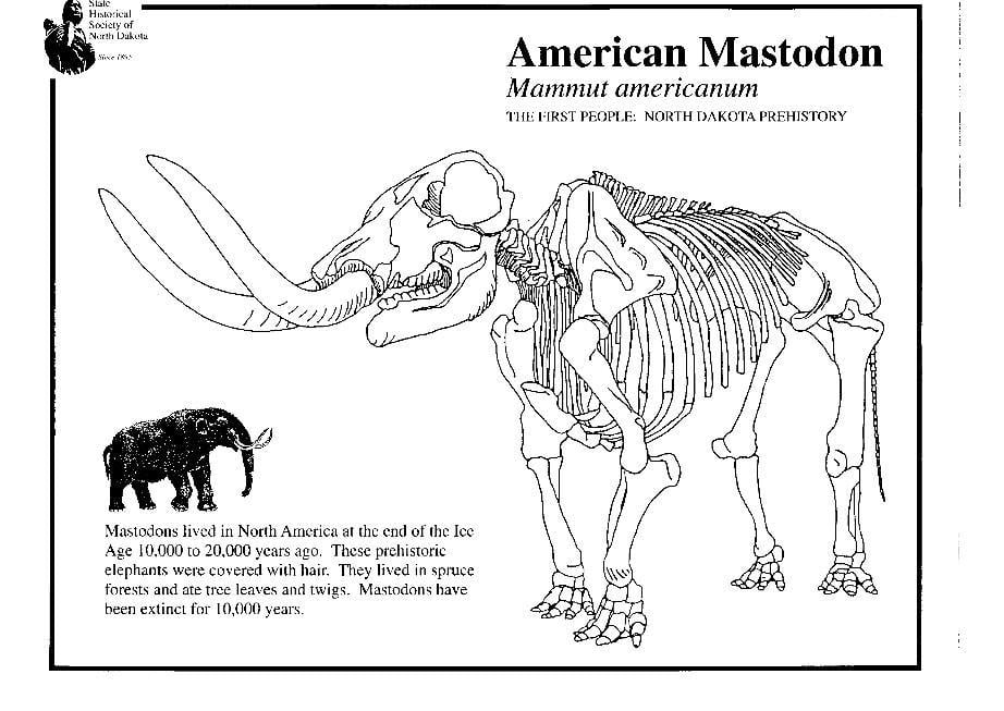 Dibujo para colorear mastodonte