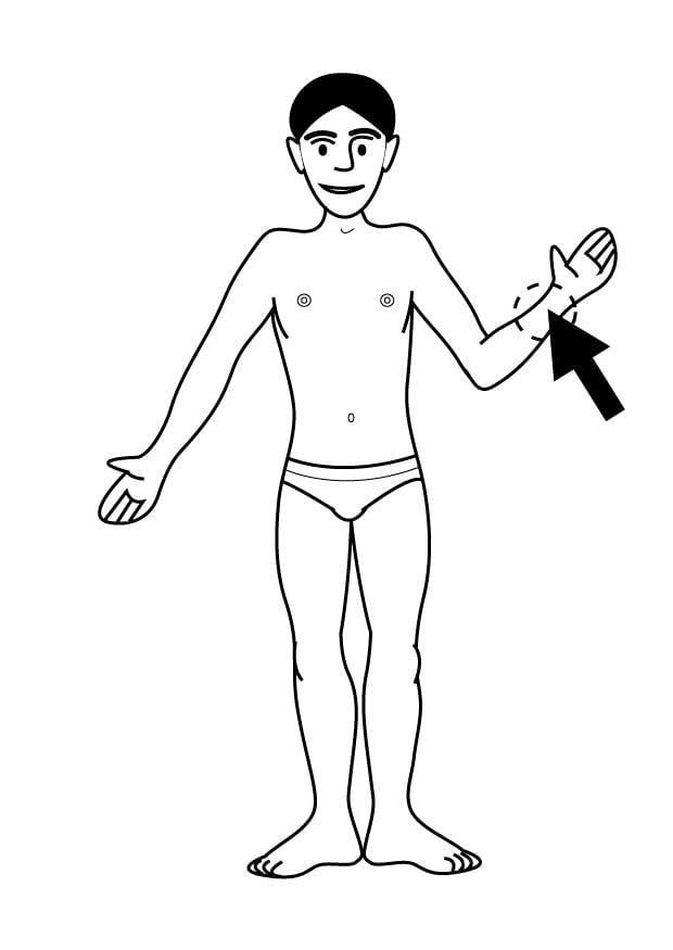 Dibujo para colorear muneca