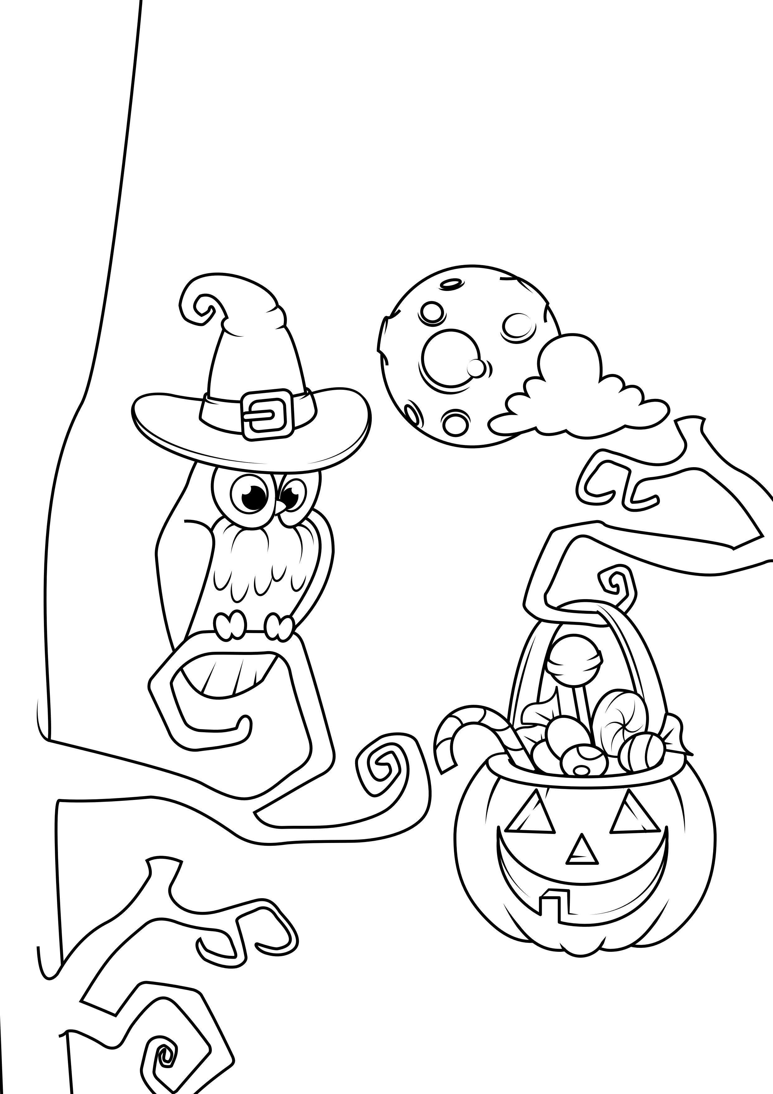 Dibujo para colorear noche de halloween