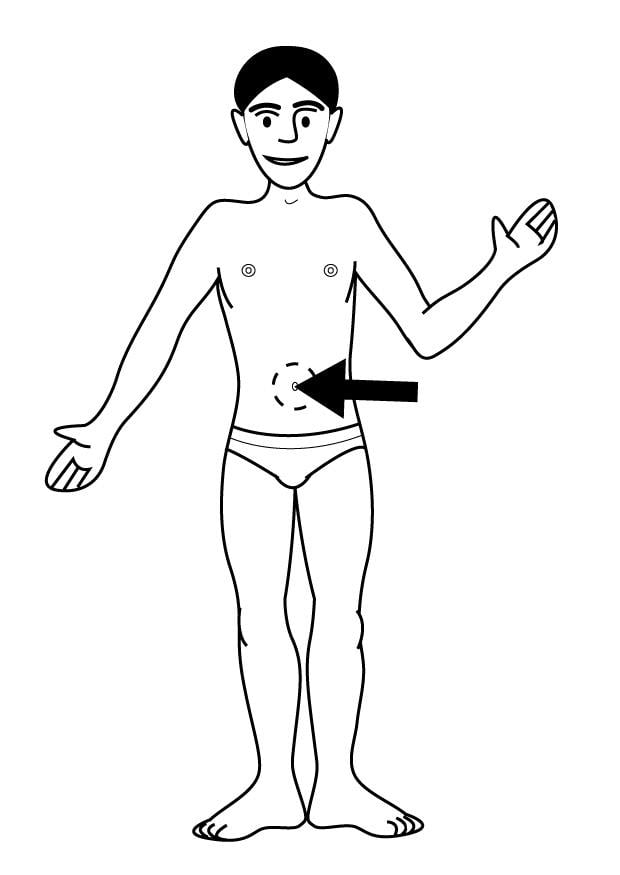 Dibujo para colorear ombligo