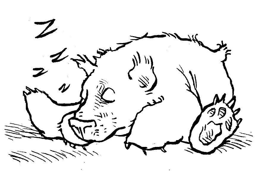 Dibujo para colorear osito