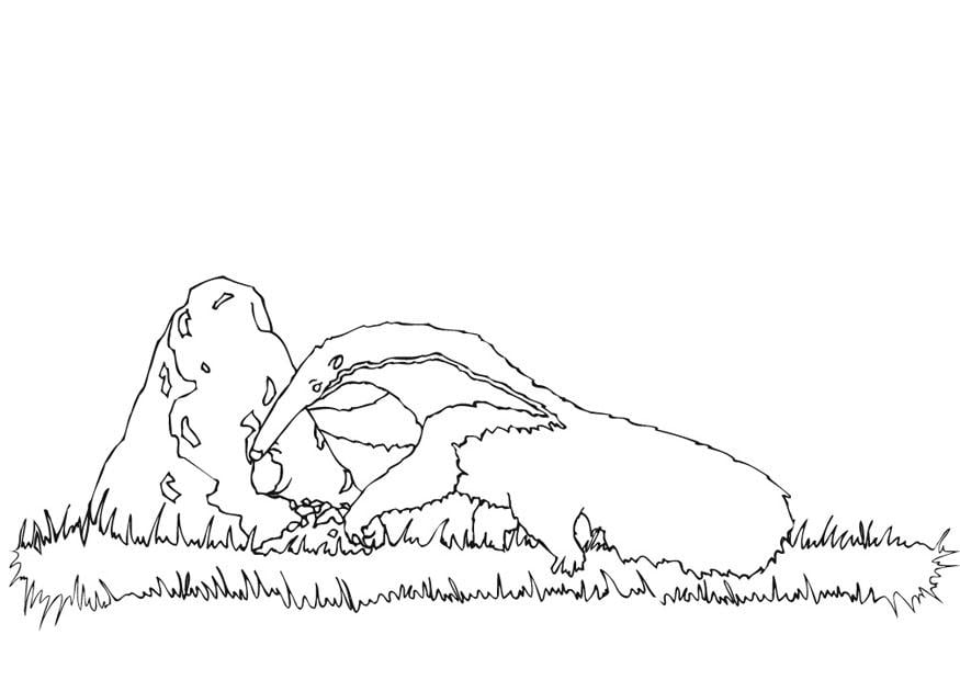 Dibujo para colorear oso hormiguero abriendo un nido