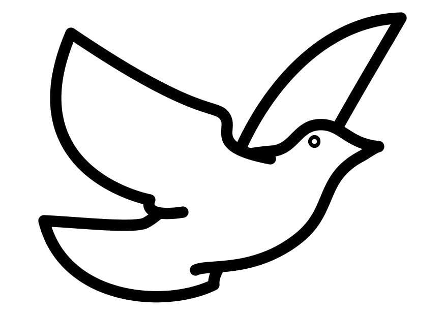Dibujo para colorear paloma