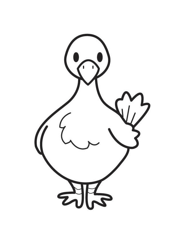 Dibujo para colorear paloma