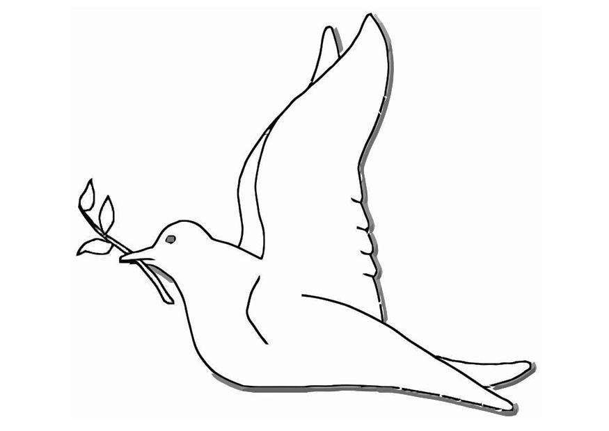 Dibujo para colorear paloma