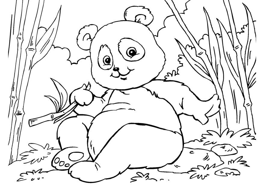 Dibujo para colorear panda