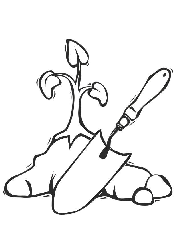 Dibujo para colorear pantar un A¡rbol