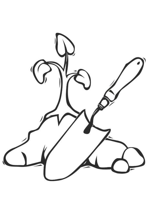 Dibujo para colorear pantar un A¡rbol