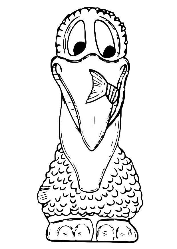 Dibujo para colorear parte frontal de pelA­cano