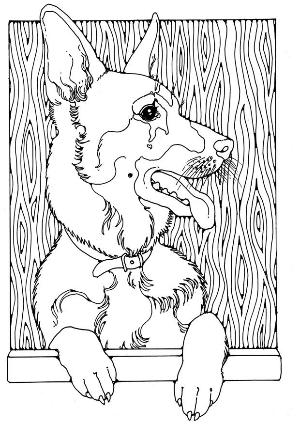 Dibujo para colorear pastor alemA¡n