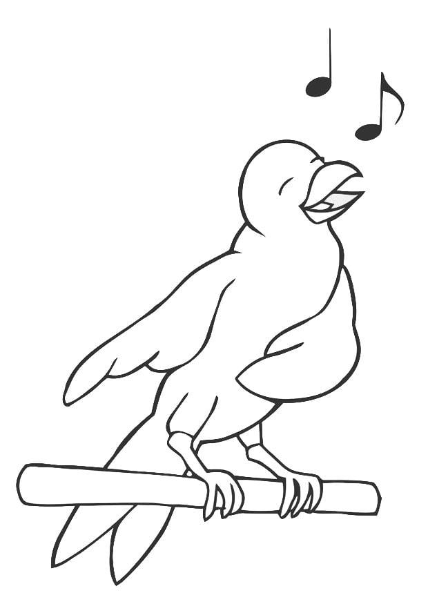 Dibujo para colorear pA¡jaro cantando