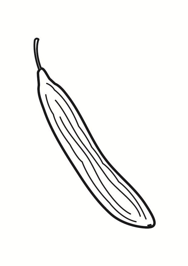 Dibujo para colorear pepino