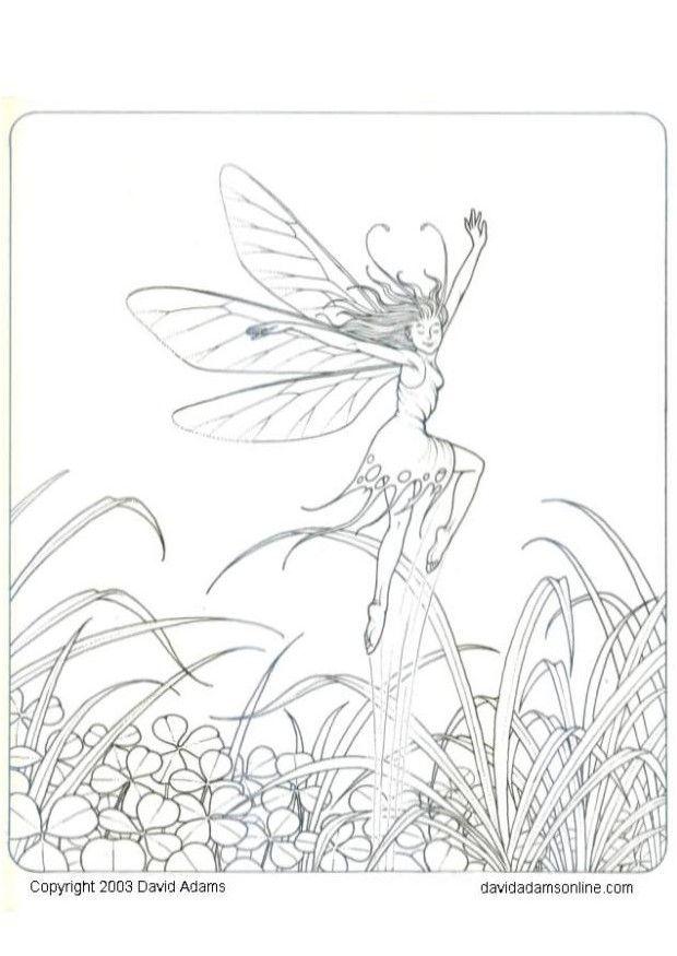 Dibujo para colorear pequeno elfo