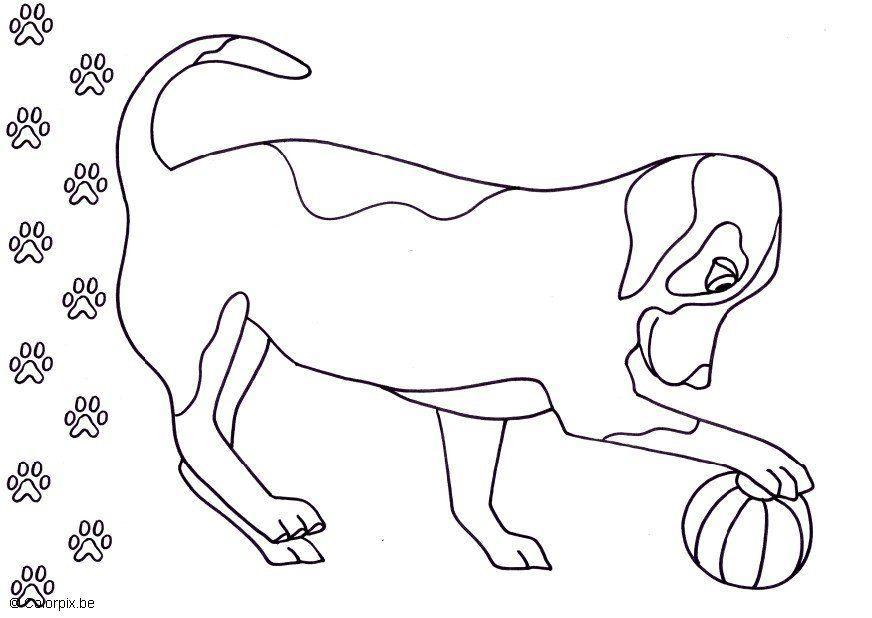 Dibujo para colorear perro