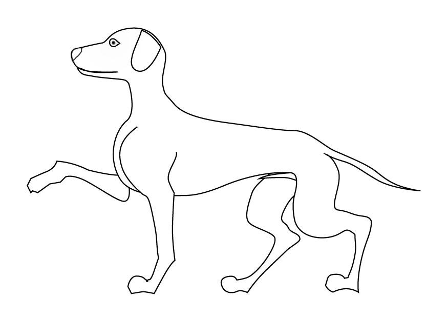 Dibujo para colorear perro