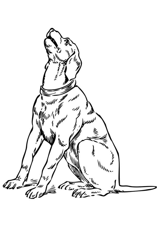 Dibujo para colorear perro llorando