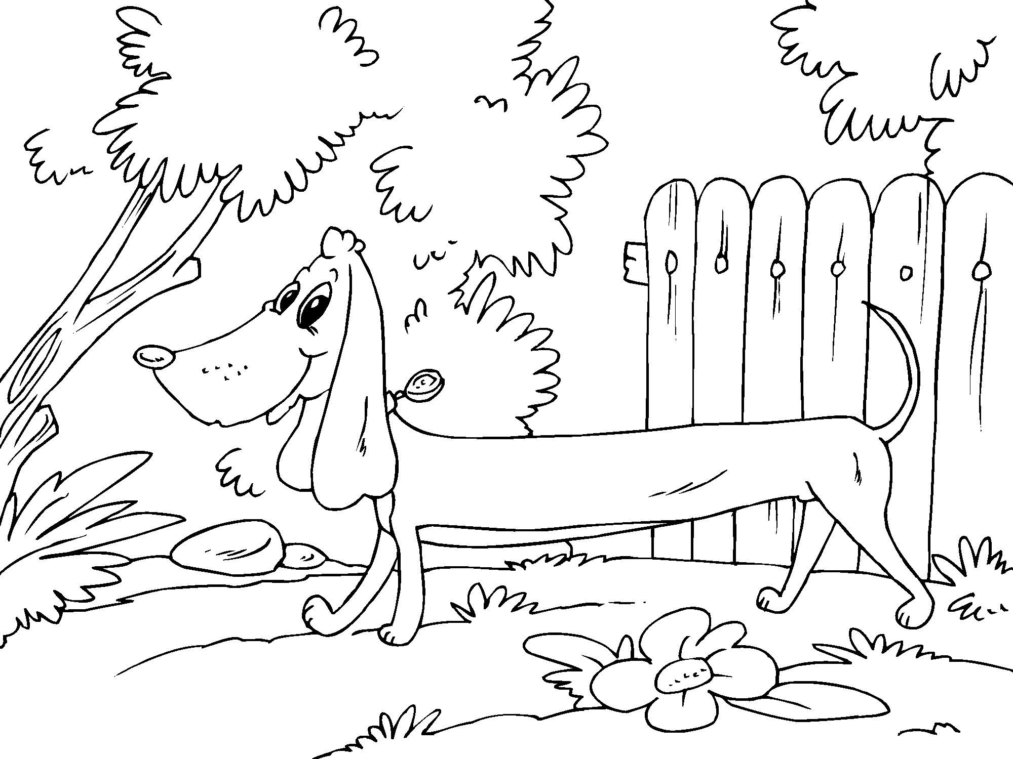 Dibujo para colorear perro raposero