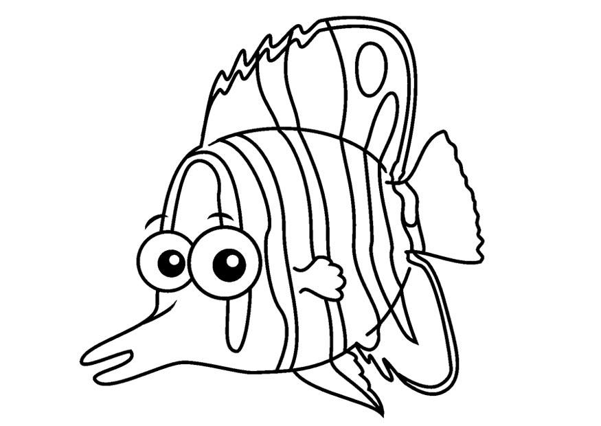 Dibujo para colorear pez mariposa