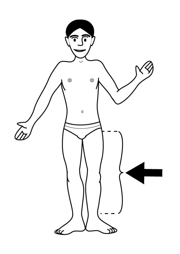 Dibujo para colorear pierna