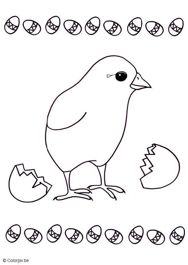Dibujo para colorear polluelo saliendo del huevo