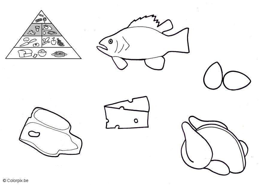 Dibujo para colorear productos de origen animal