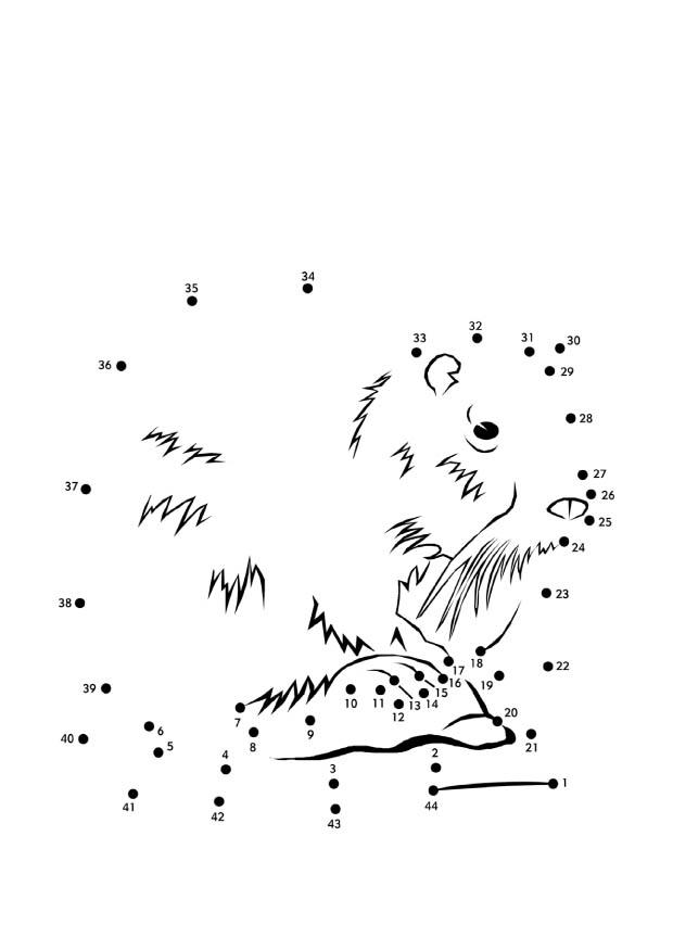 Dibujo para colorear rata castor