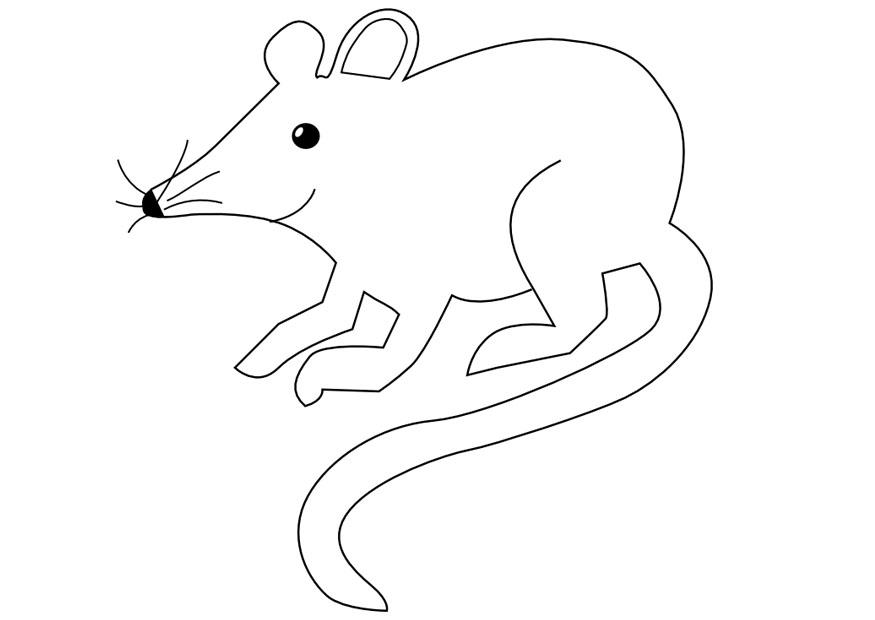 Dibujo para colorear ratA³n