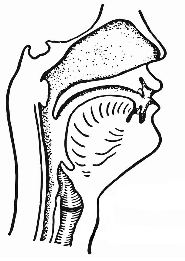 Dibujo para colorear respiraciA³n