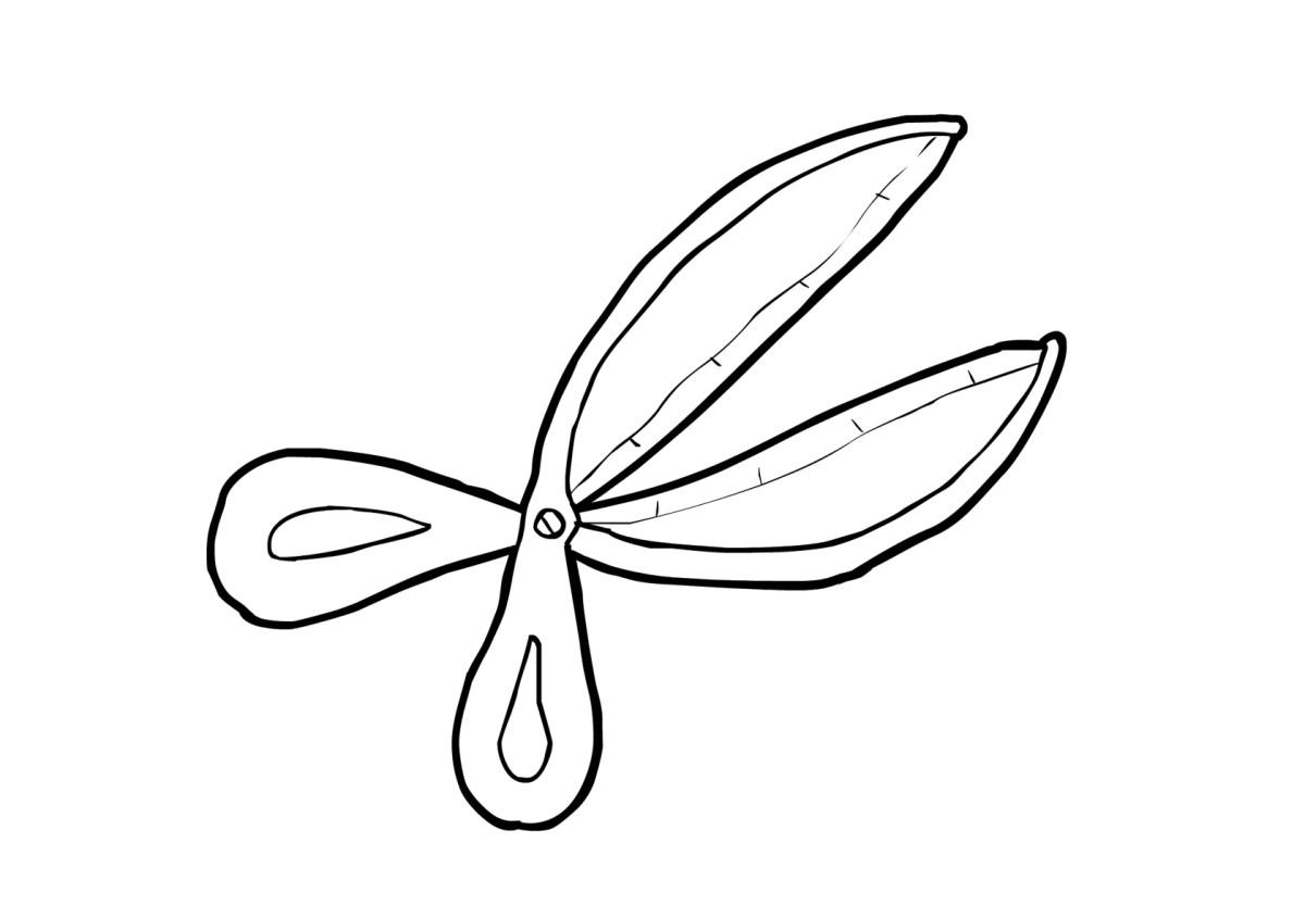 Dibujo para colorear tijeras