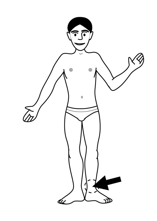 Dibujo para colorear tobillo