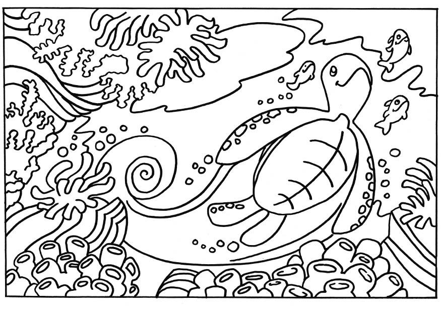 Dibujo para colorear tortuga