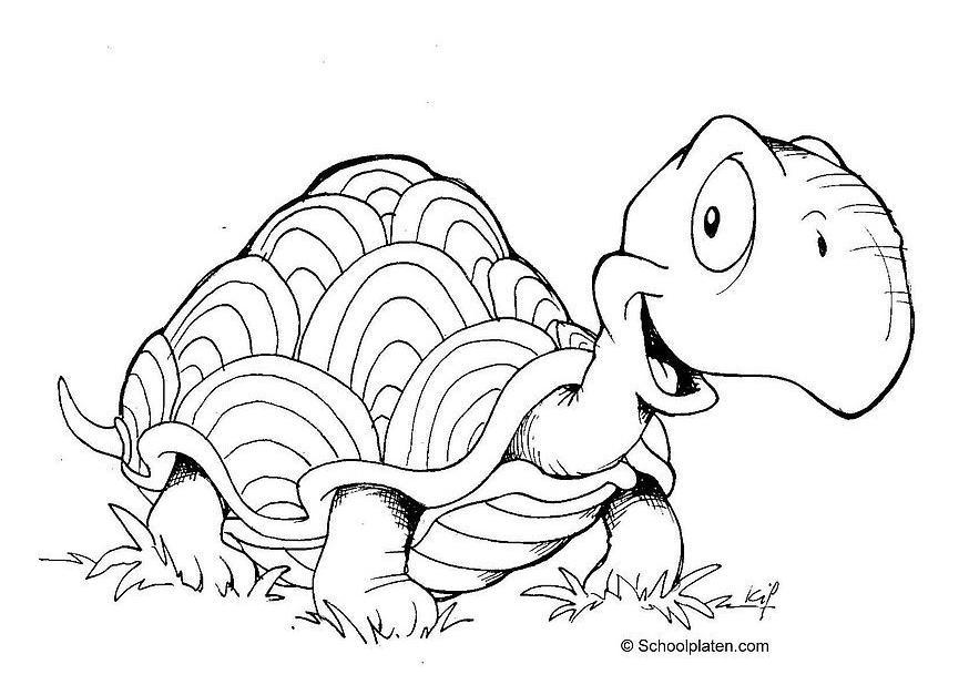 Dibujo para colorear tortuga