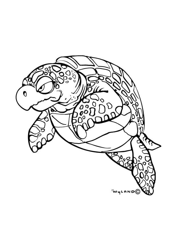 Dibujo para colorear tortuga marina