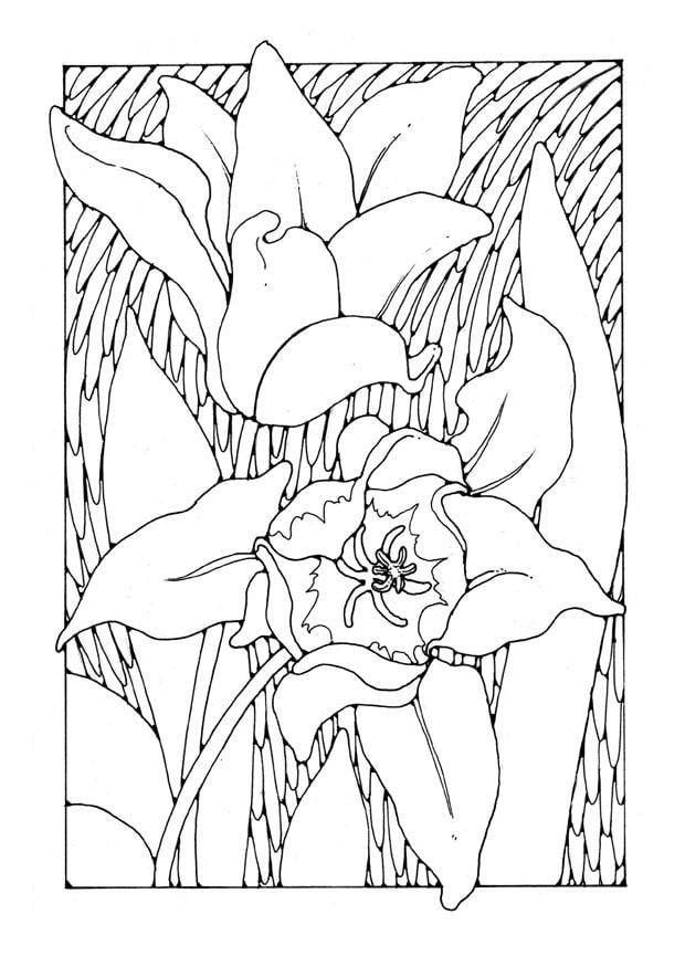 Dibujo para colorear tulipanes