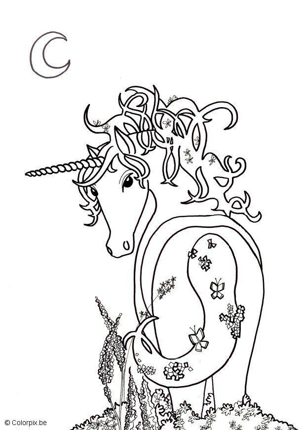 Dibujo para colorear unicornio