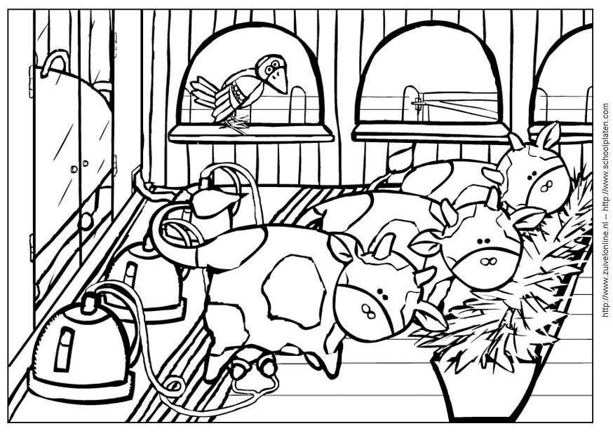 Dibujo para colorear vaca