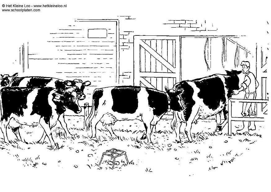 Dibujo para colorear vacas