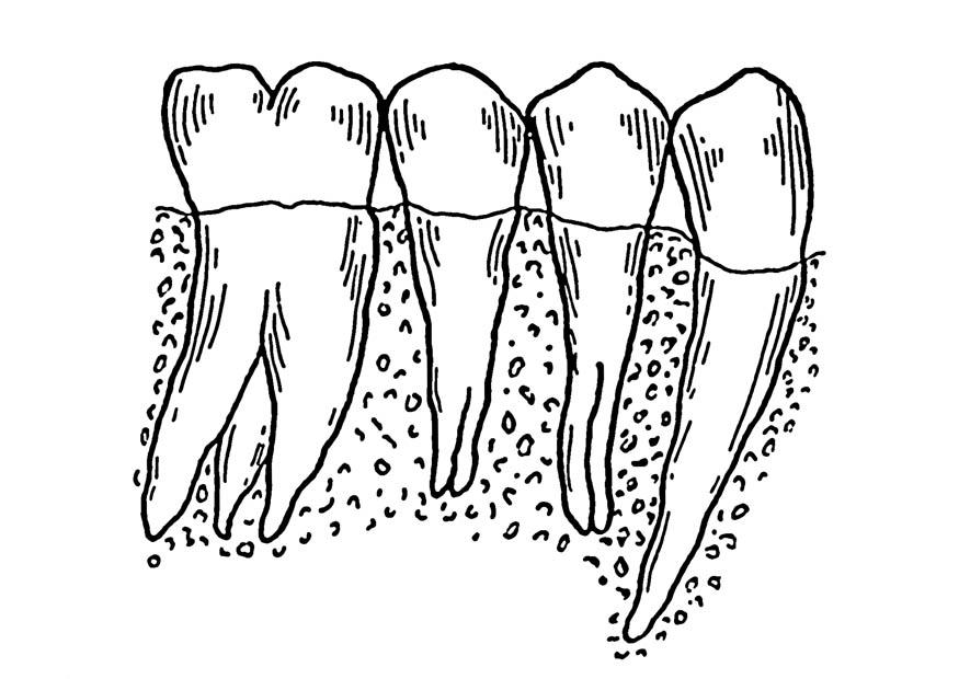 dientes Dibujo para colorear dientes