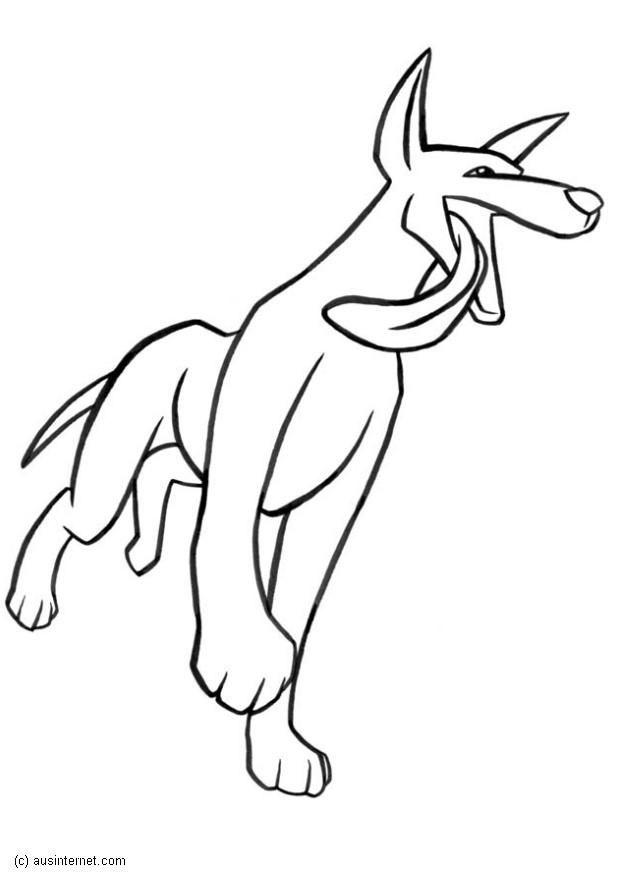 dingo Dibujo para colorear dingo