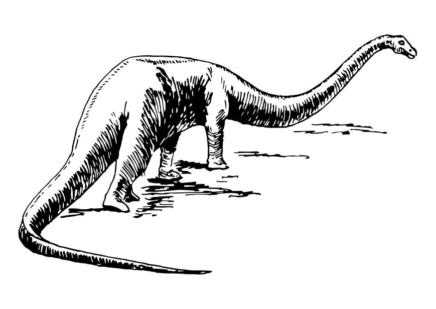dinosaurio Dibujo para colorear dinosaurio