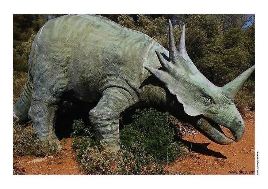 dinosaurio Foto dinosaurio