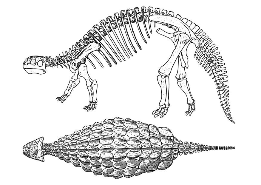 dinosaurio - ankylosaurus Dibujo para colorear dinosaurio - ankylosaurus