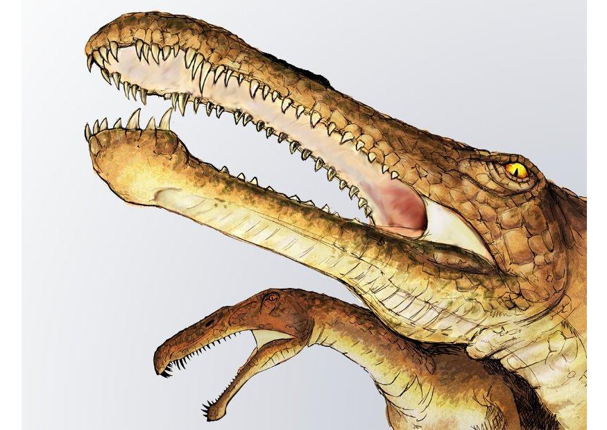 dinosaurio irritator Imagen dinosaurio irritator