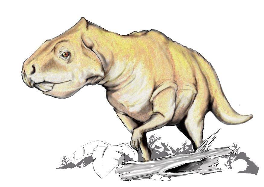 dinosaurio prenoceratops Imagen dinosaurio prenoceratops