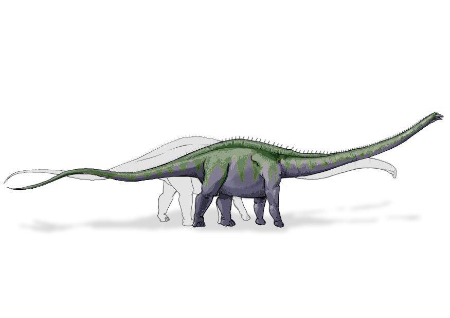 dinosaurio supersaurio Imagen dinosaurio supersaurio